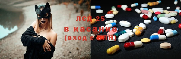 2c-b Пестово