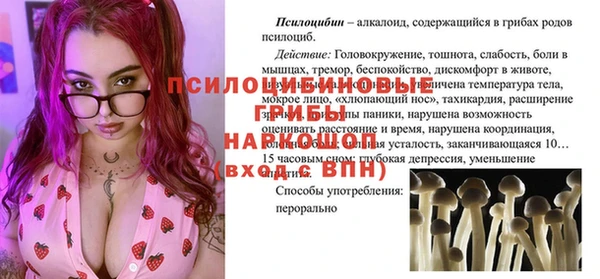 сатива Алексин