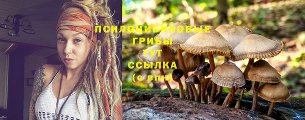 сатива Алексин