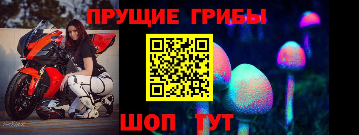 Галлюциногенные грибы Psilocybine cubensis  Псилоцибиновые грибы Cubensis  Вход с VPN  Фролово 